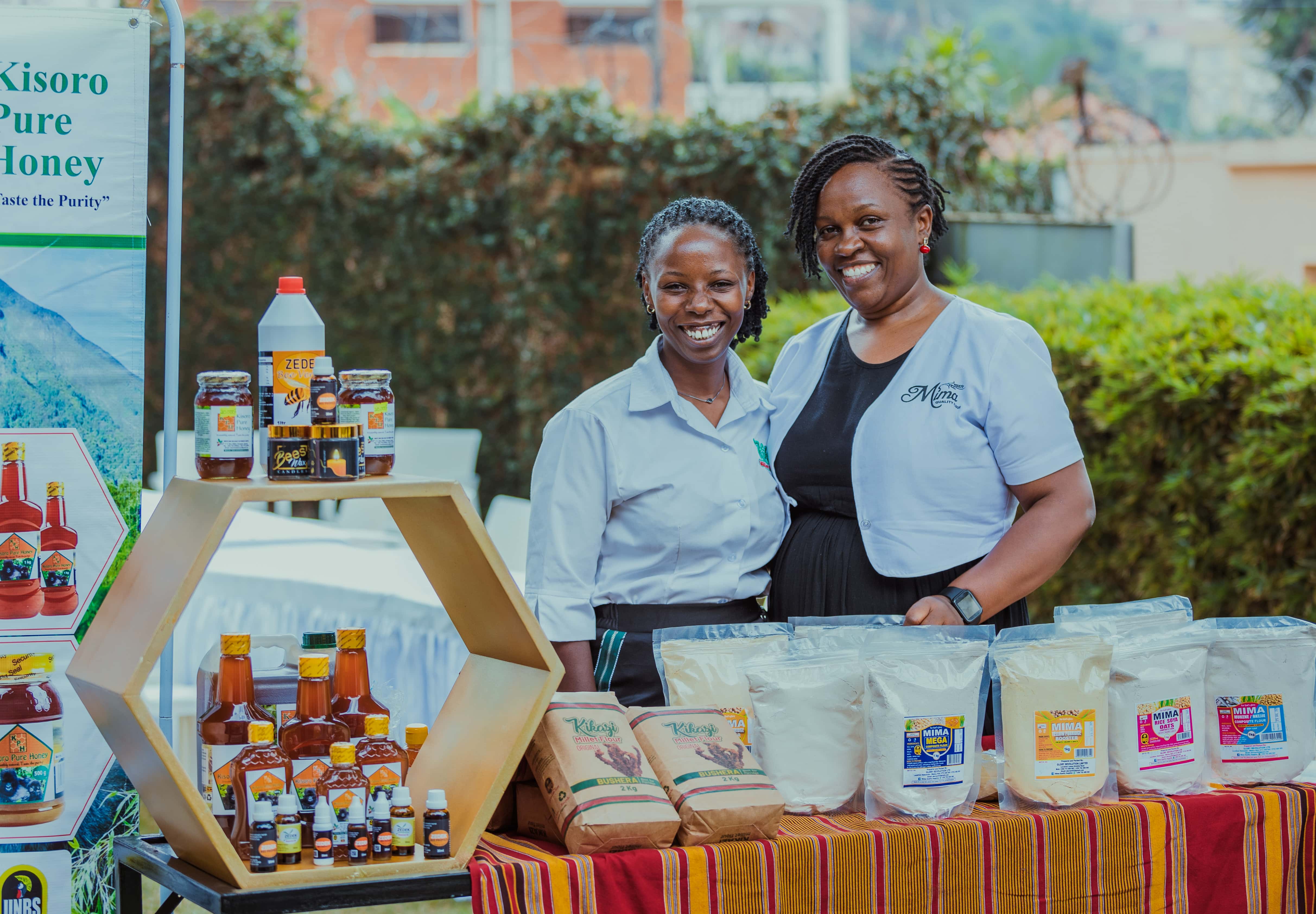 Sustainable Technology for Africa (ST4A) Seed Program